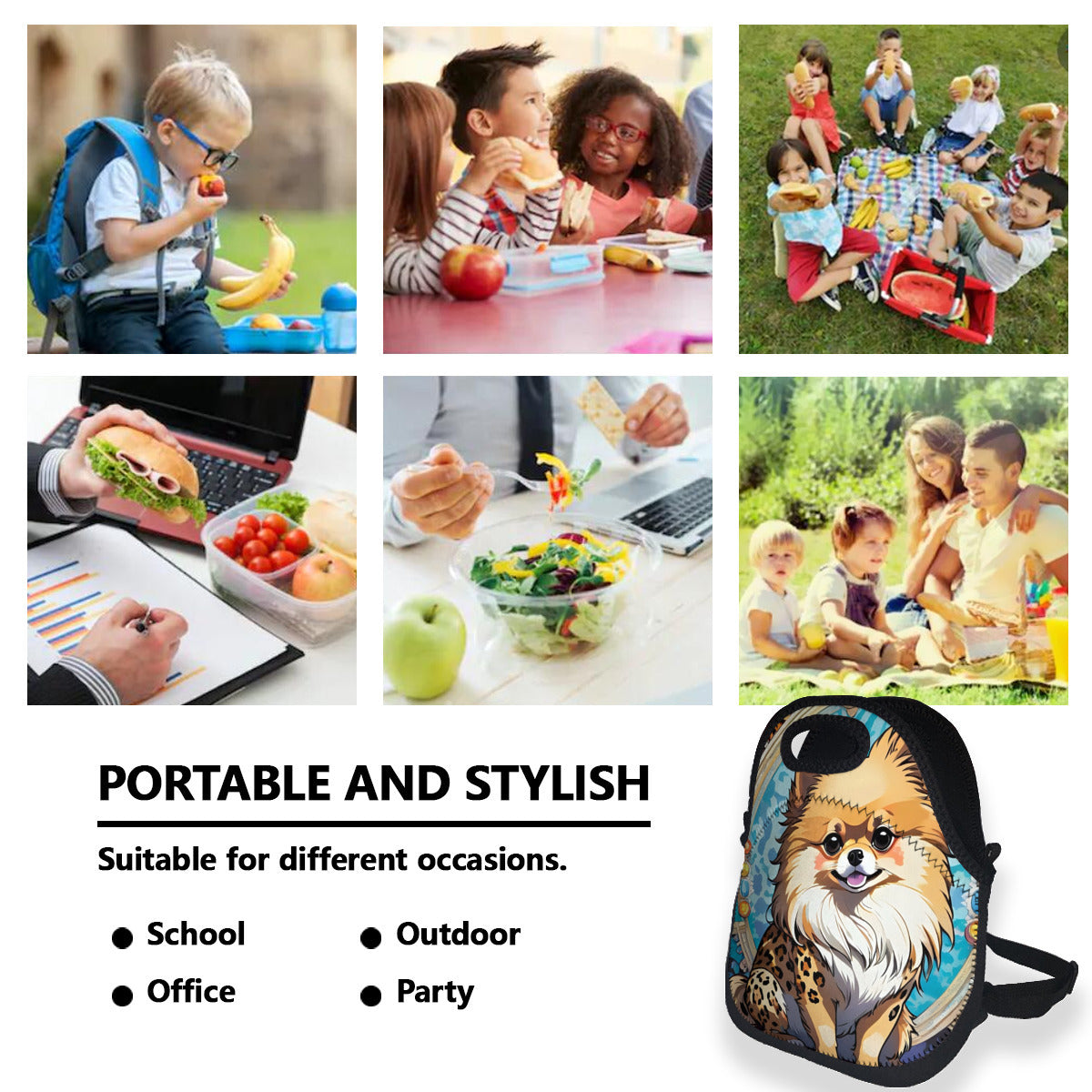 Pomeranian Back To School Supplies